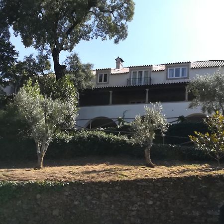 Casa Ribeira De Pera Villa Castanheira de Pera Dış mekan fotoğraf