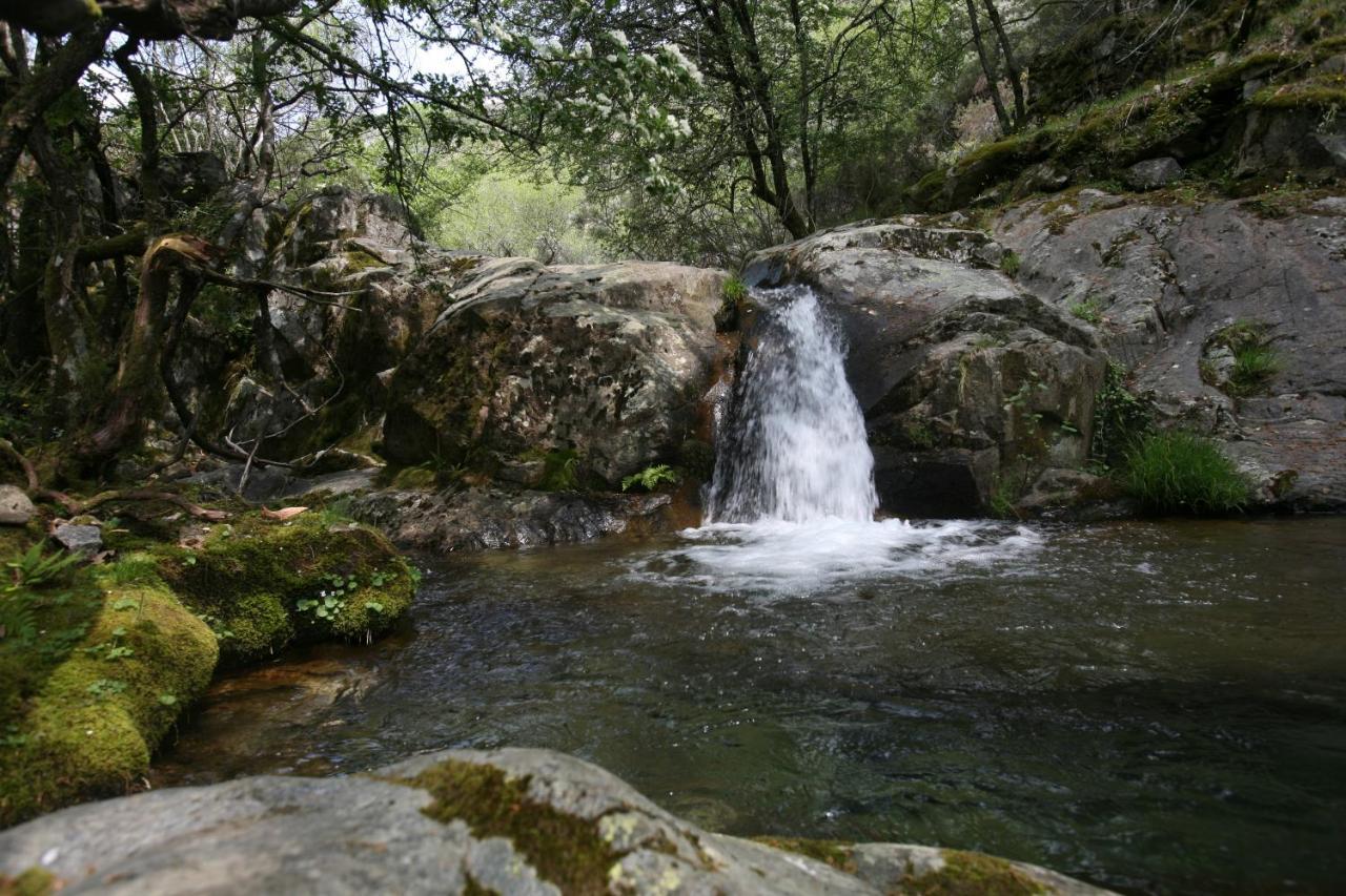 Casa Ribeira De Pera Villa Castanheira de Pera Dış mekan fotoğraf